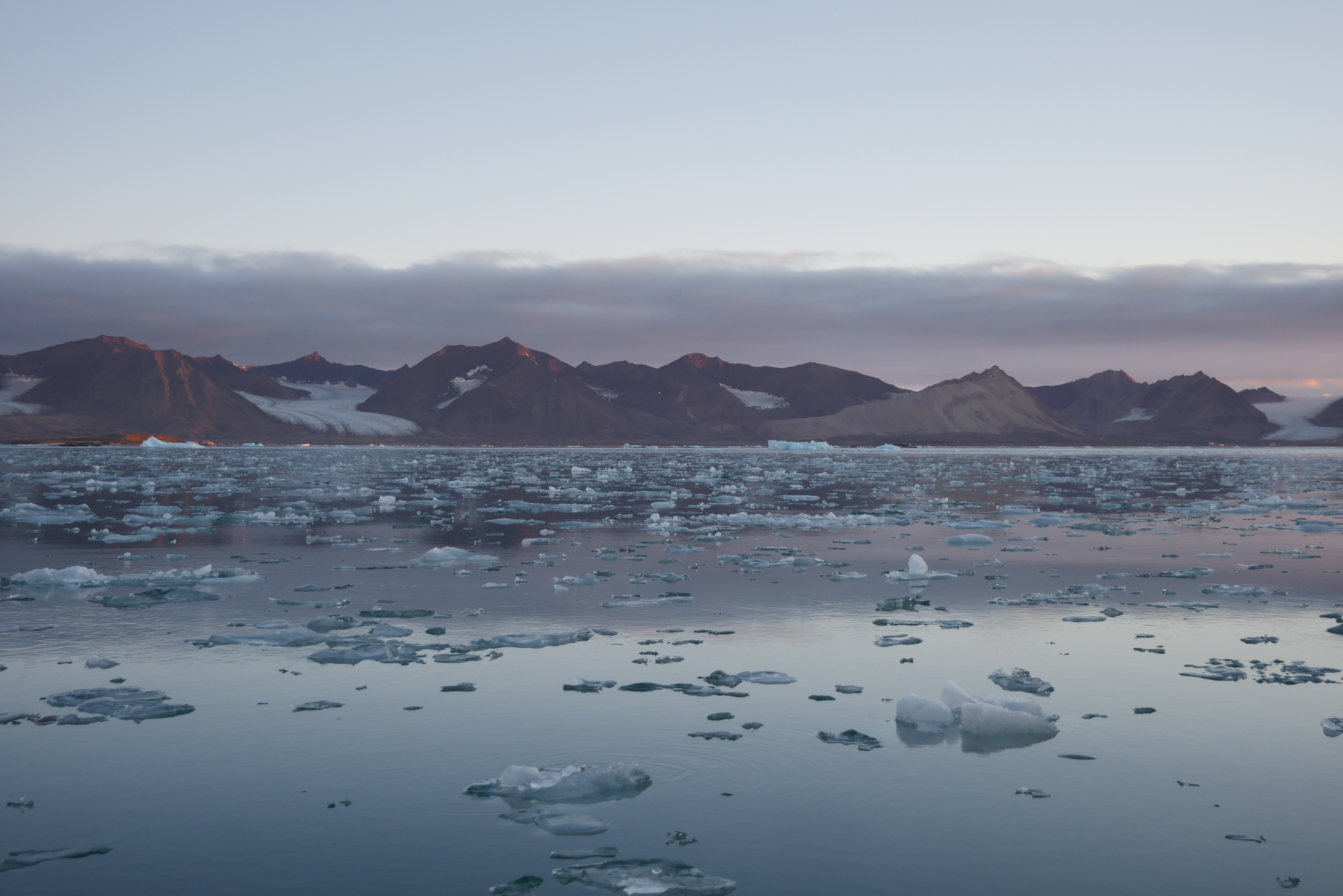 Kongsfjorden på Svalbard. Isflak ligger på overflaten