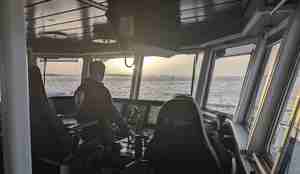 foto av mann på broen i solnedgang