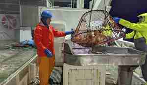 foto av menn på fiskebåt