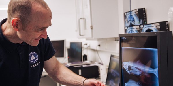 

En person ser på en skjerm som viser røntgenbilder av fisk.