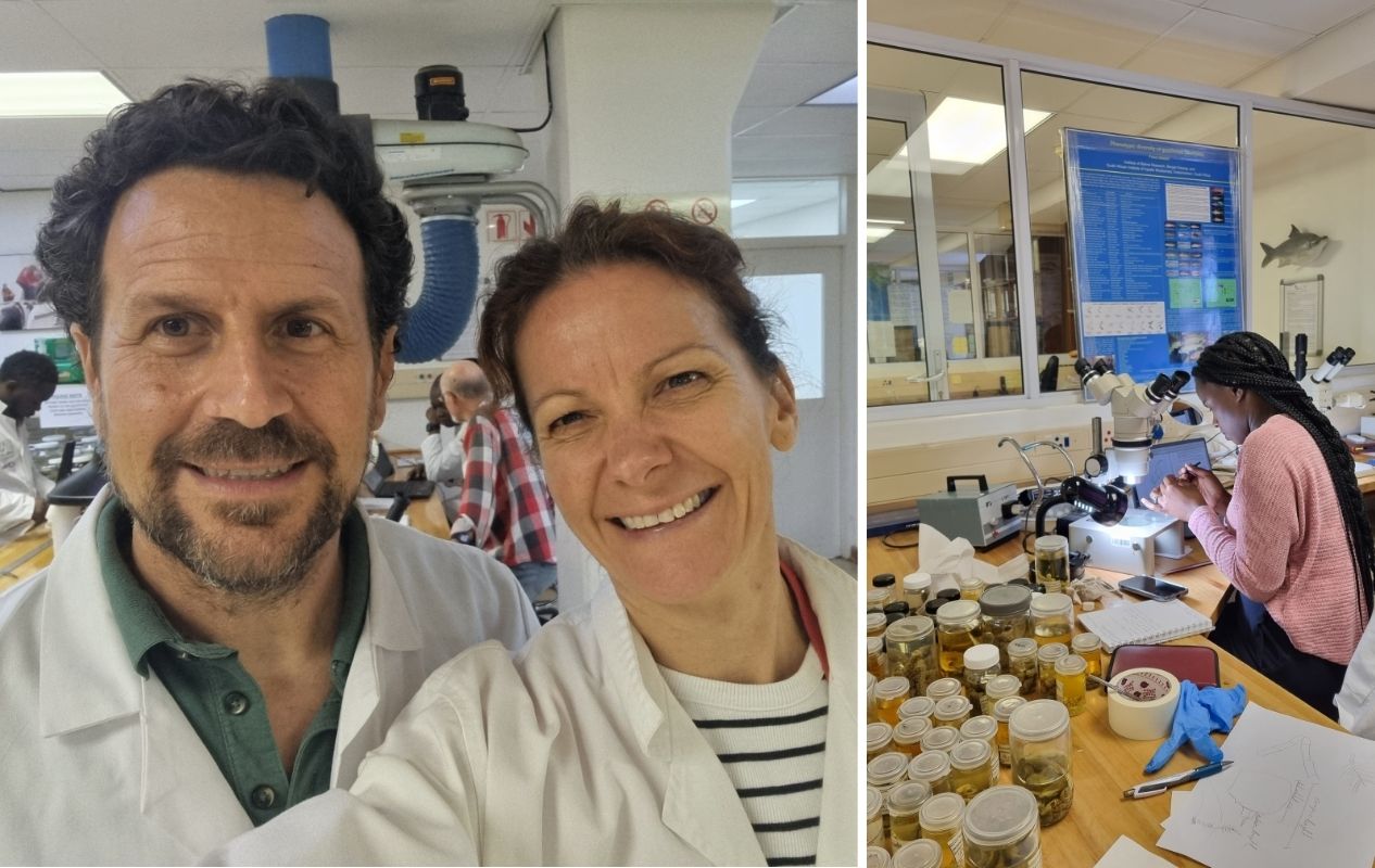 En kollasj av to bilder. Det ene bilder viser en mann og en kvinne som smiler mot kamera, begge har på seg hvite frakker. Det andre bildet viser en kvinne som konsentrert ser gjennom et mikroskop, ved siden av henne står flere glass med dyr på