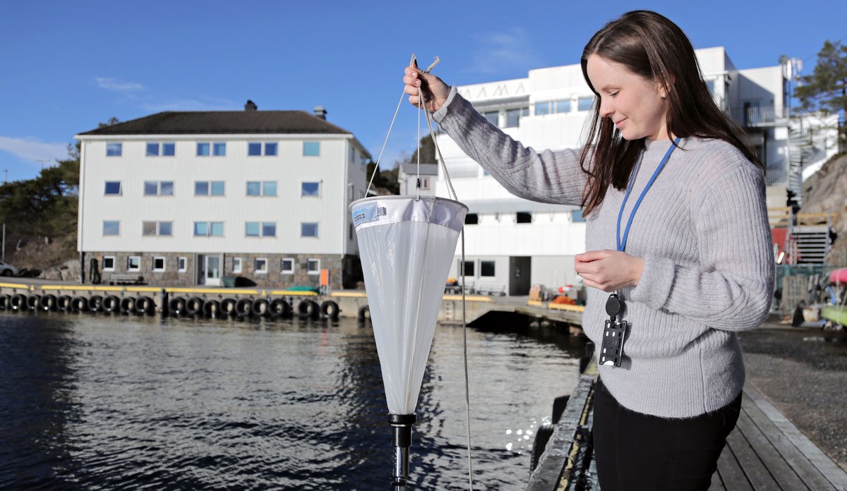 kvinne holder håv stående på kai 