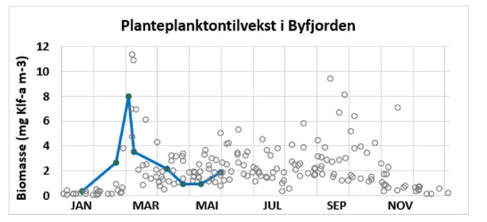 Graf som viser planktontilvekst i byfjorden i Bergen per juni 2026