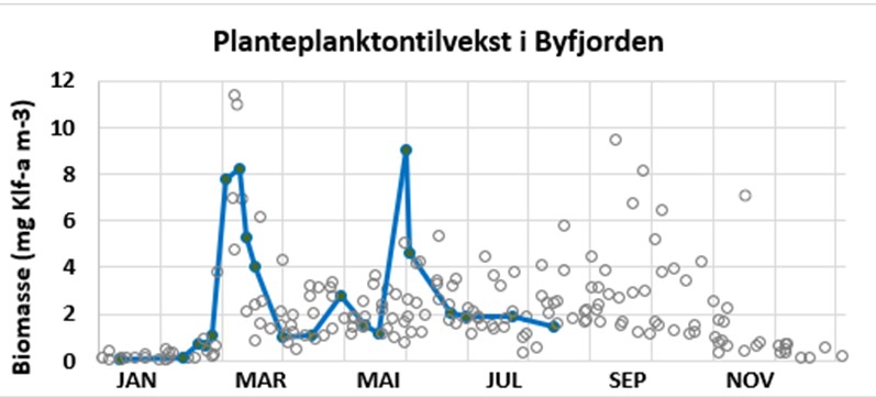 Planteplanktontilvekst byfjorden august 2025