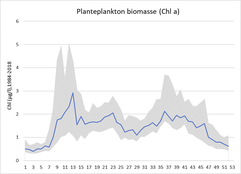 figur som viser biomassen av planteplankton fra uke til uke i gjennomsnitt