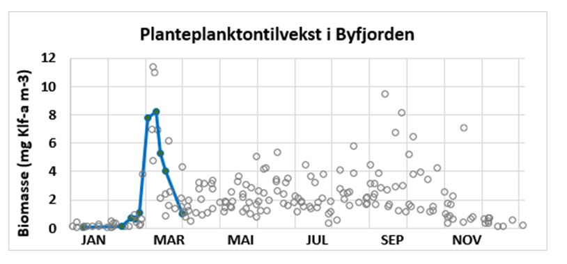 Figur som viser planteplanktontilvekst i byfjorden mars 2025