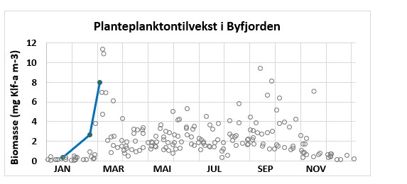Planteplanktontilvekst i byfjorden 2026