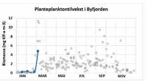 Figur som viser planteplanktontilvekst i byfjorden i Bergen  feb 23