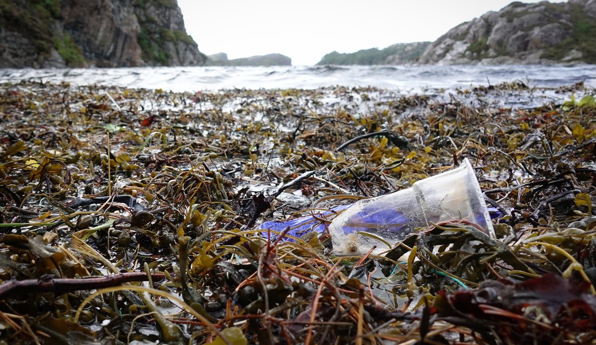 
Plast i fjæra på Sotra Torhild Dahl