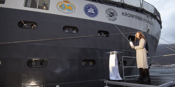 

Prinsessa holder iskjerna