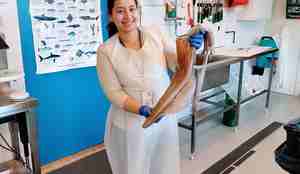 foto av kvinne med blekksprut i hendene