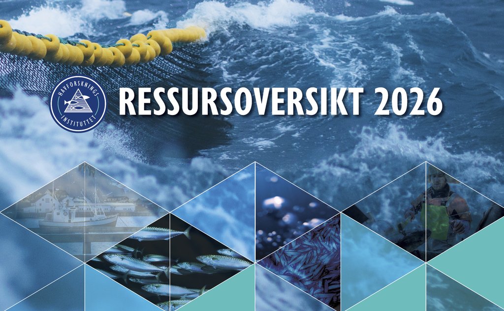 Bilde er en kollasj med skrifta Ressursoversikt 2026.