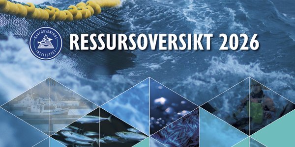 

Bilde er en kollasj med skrifta Ressursoversikt 2026.