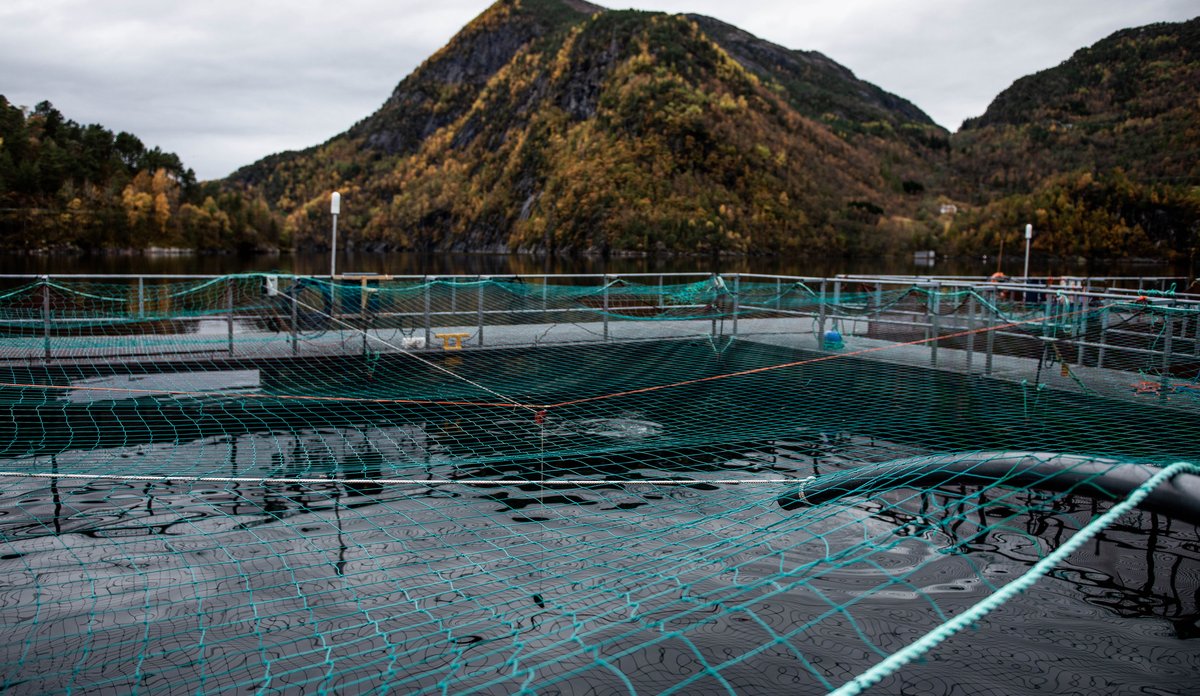 
Salmon farming HI 045464 CF