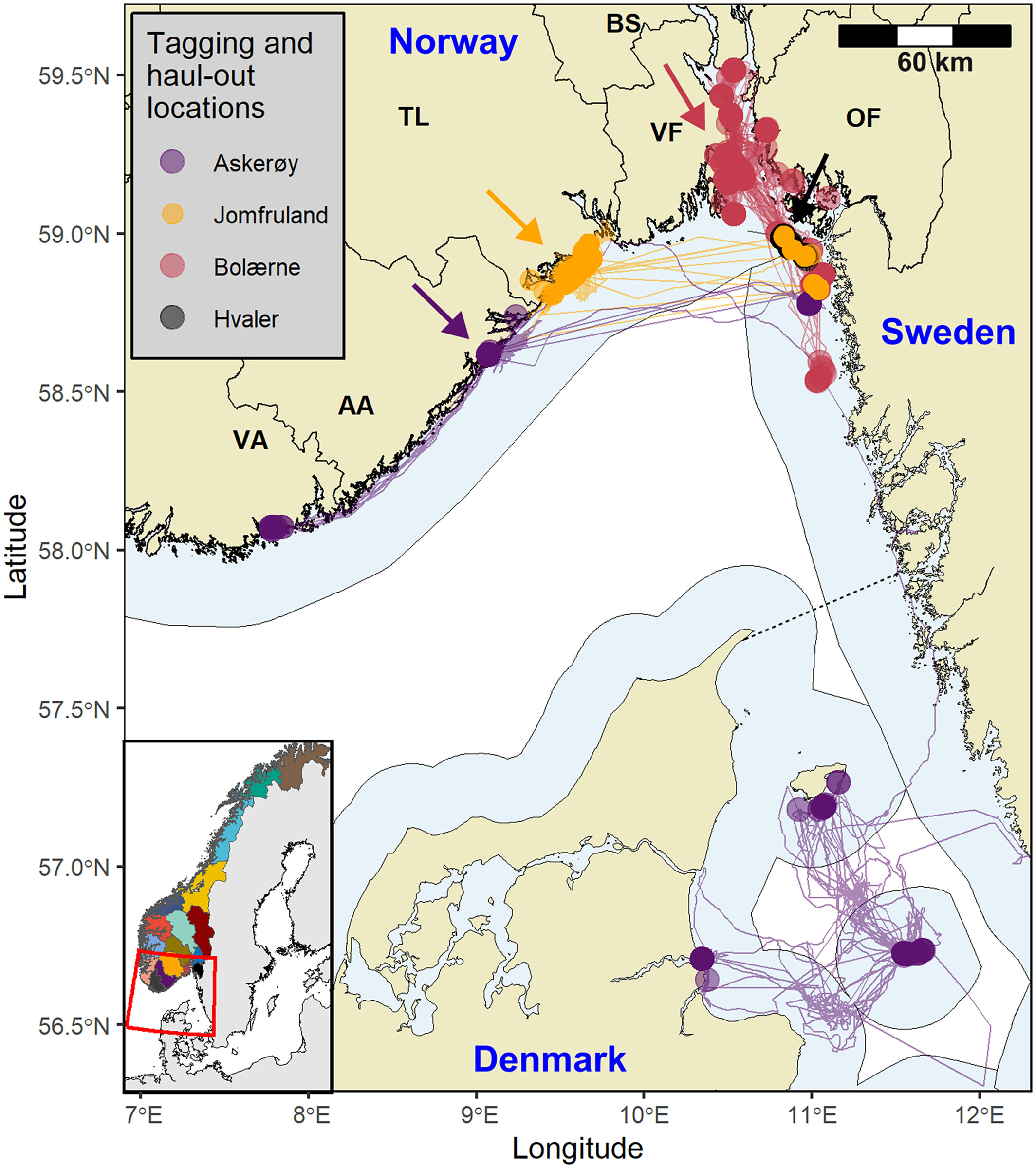Kartet viser hvor steinkobbene har gått i alnd. 