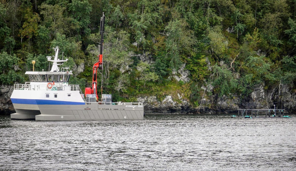 Seismic ship 02 2
