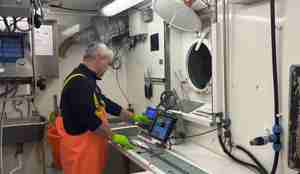 mann skjærer fisk under dekk