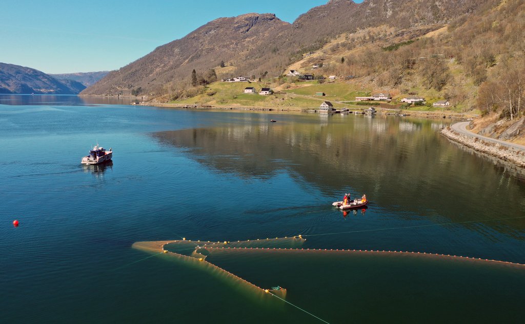 Frå ein småbåt set forskingstekniknarar ut ei stor ruse i Etnefjorden. Båten Emmy Egidius ligg litt lenger ute på fjorden og følgjer med. I bakgrunnen ser ein nokre spreidde hus, og vêret er strålande.