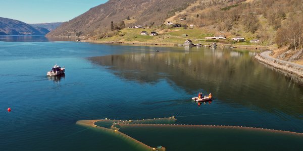 

Frå ein småbåt set forskingstekniknarar ut ei stor ruse i Etnefjorden. Båten Emmy Egidius ligg litt lenger ute på fjorden og følgjer med. I bakgrunnen ser ein nokre spreidde hus, og vêret er strålande.