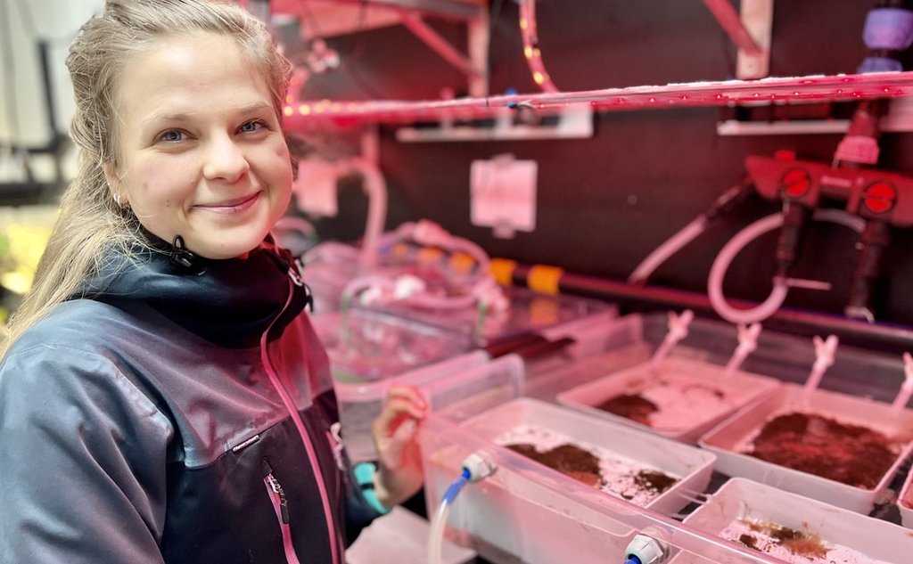 Bilde av forser Signe Svensson foran kar med børstemark på laboratorium i lett rosa lys.