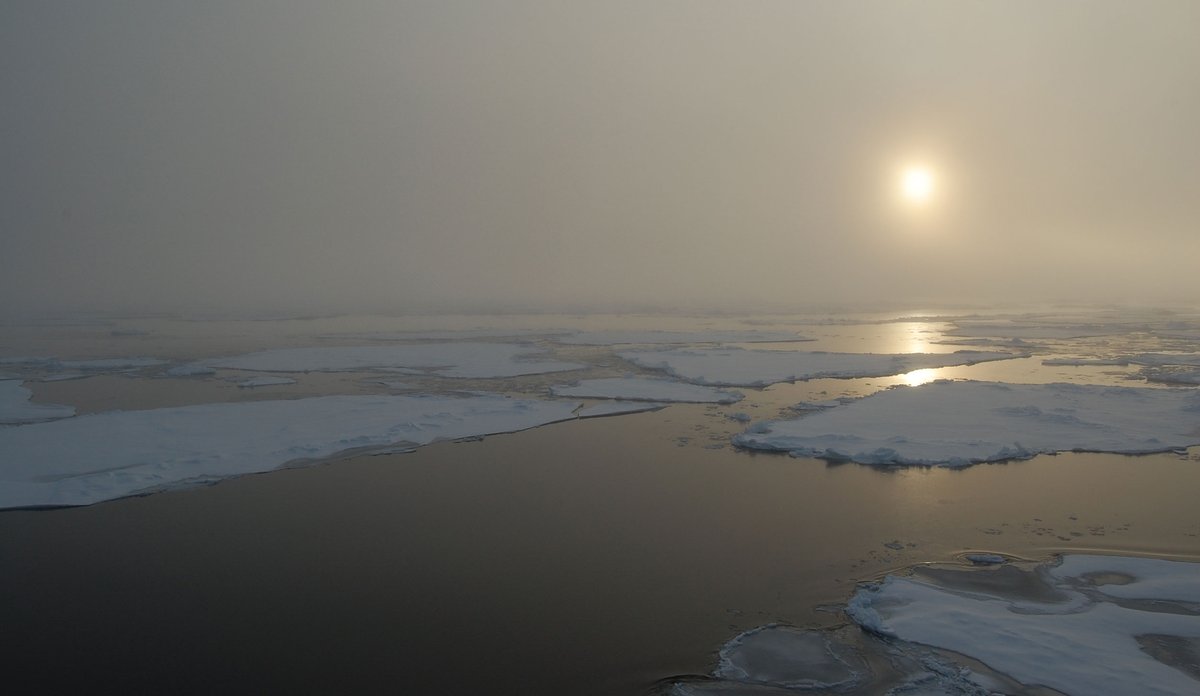 
Sjøis nord for Svalbard