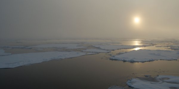

Sjøis nord for Svalbard