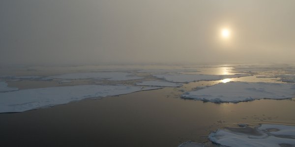 

Sjøis nord for Svalbard