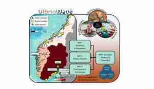 Prosjekt VibrioWave - vibrio bakterier