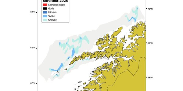 

Utsikt fra broen