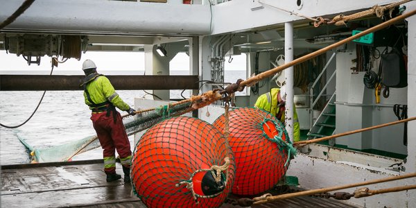 

Skyter trål på økosystemtokt i Barentshavet.