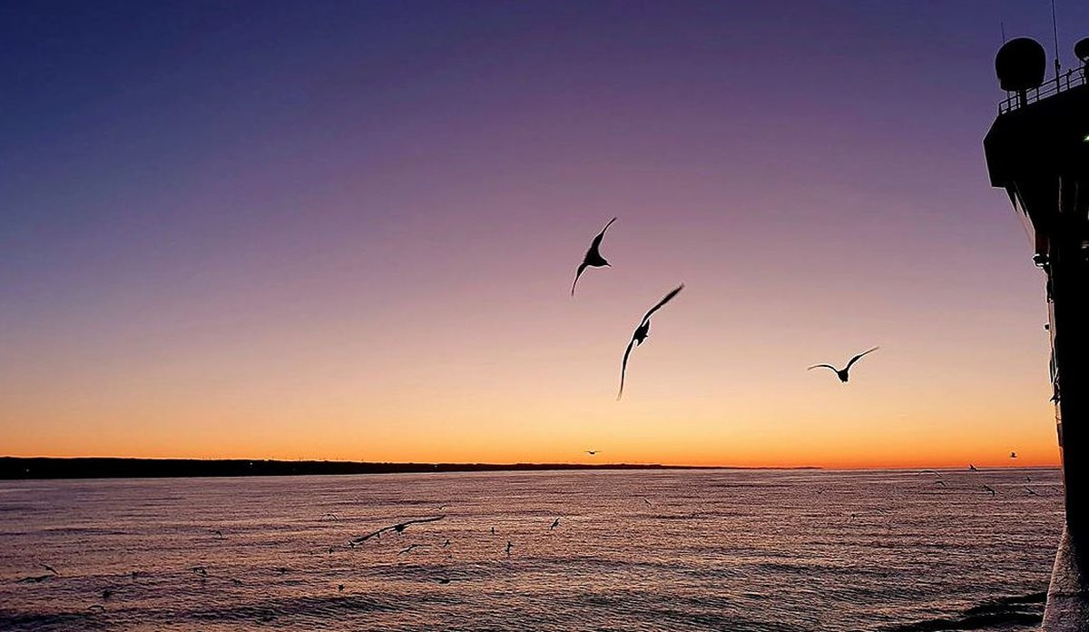 
Solnedgang i havet Foto Heidi Gabrielsen