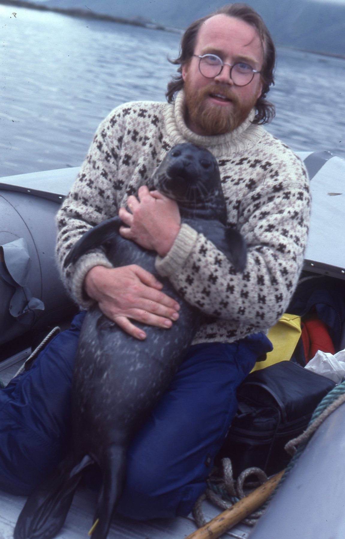 Steinkobbe i 1991