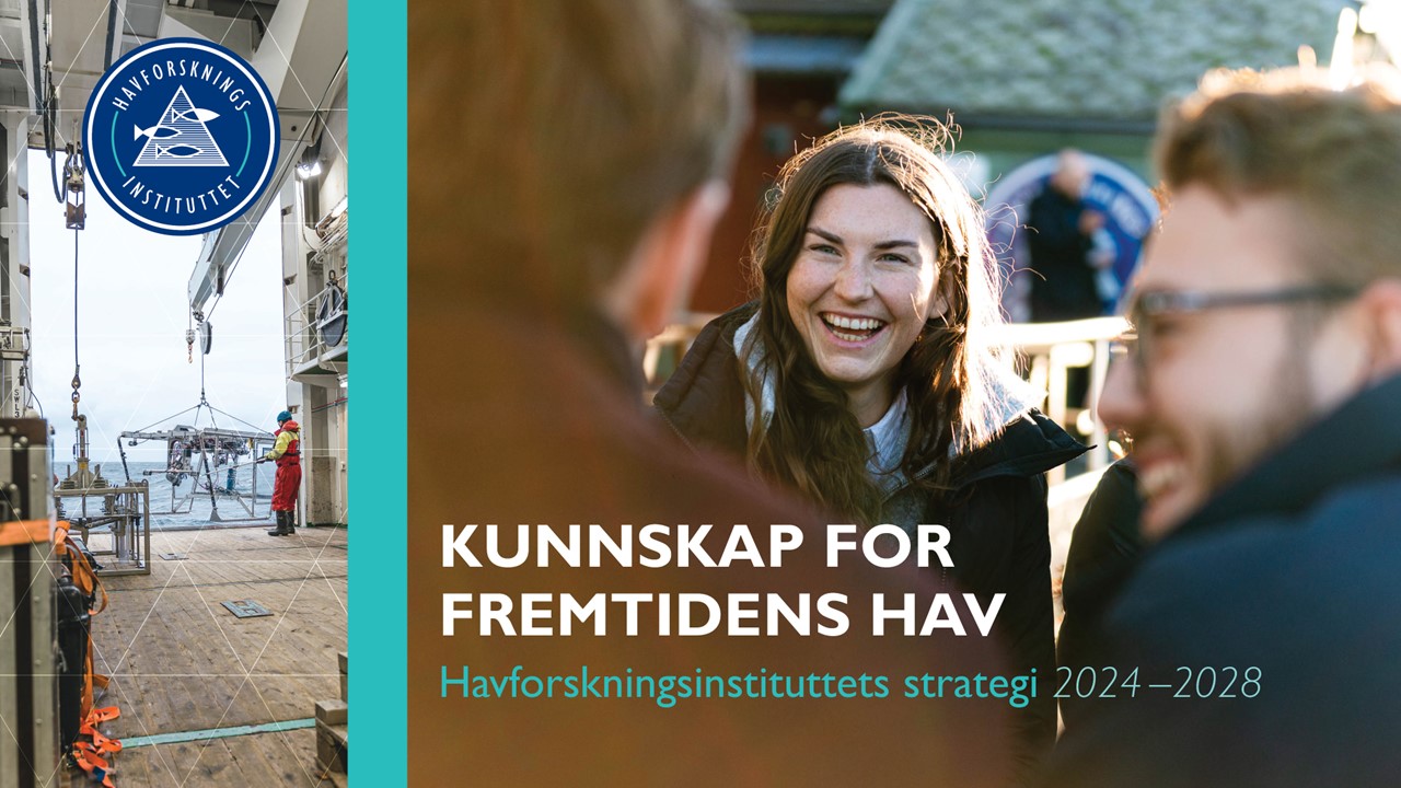 Collage av arbeid på tråldekk og smilende dame