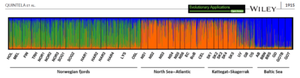 Structure plot depicting genetic relationships among samples of sprat in the NE Atlantic.