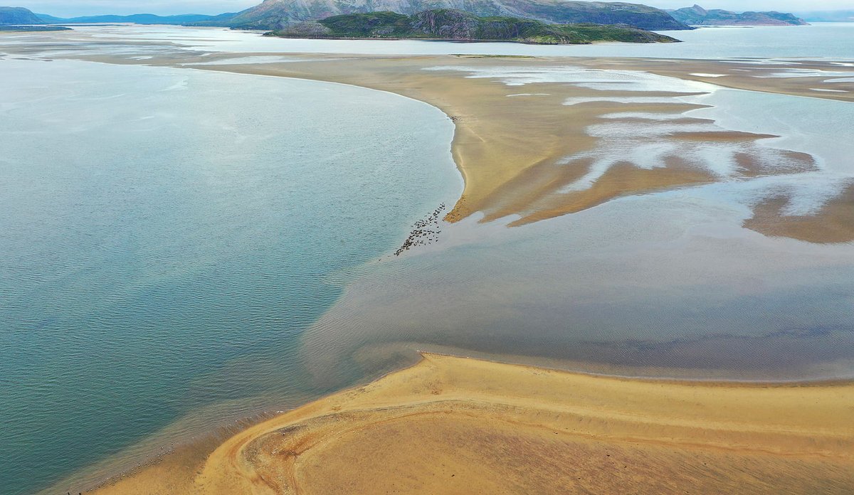 
Bilde som viser sandfargede deltaområder og grunne i Tanafjorden. 