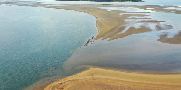 

Bilde som viser sandfargede deltaområder og grunne i Tanafjorden. 