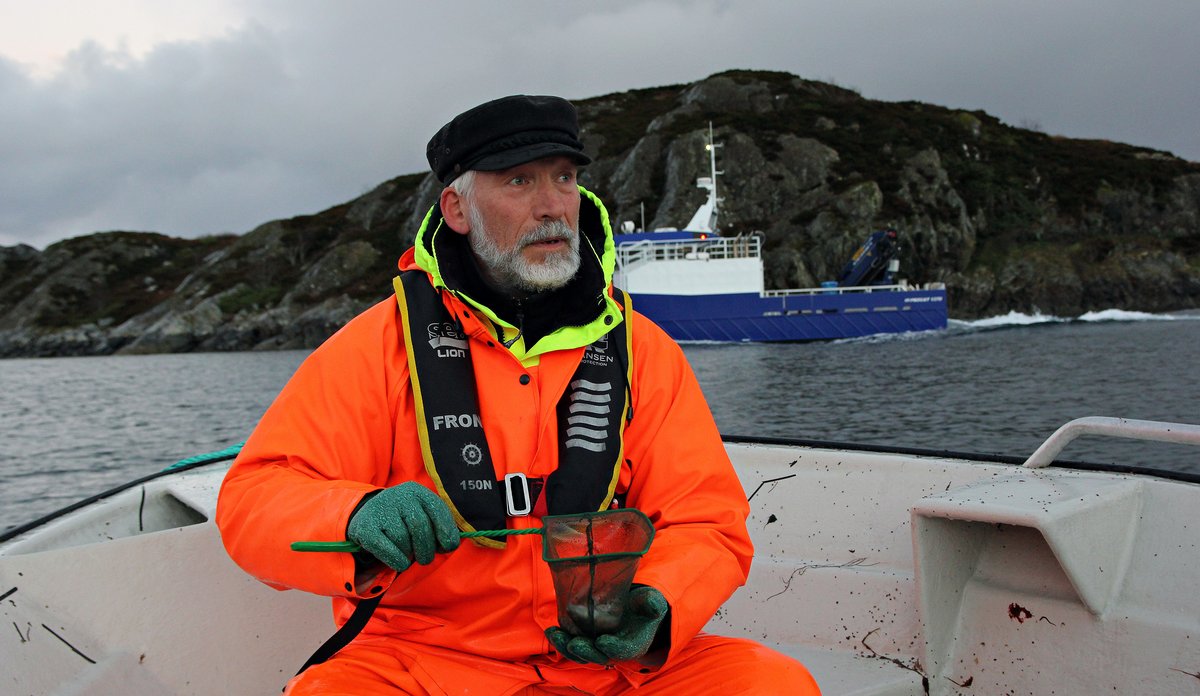 
Bilde av forsker Terje van der Meeren som fanger torsk ved Smøla.