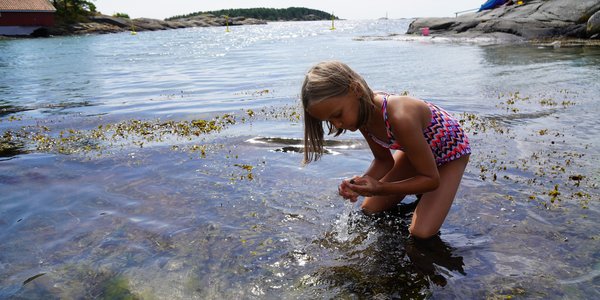 

Syv-åtte år gammel jente i rosa-lilla-spraglet badedrakt står på kne i fjæra og studerer livet i havet.