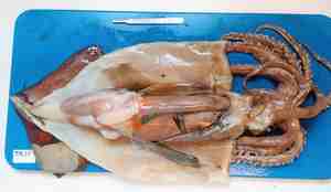 foto av blekksprut på skjærebrett