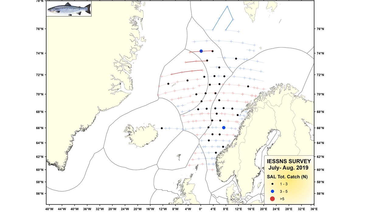 Trålfangster av Atlantisk laks (kg) IESSNS 2019