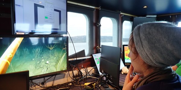 

Ei kvinne med grå strikkahue sit i eit kontrollrom på eit fartøy. Ho ser på to dataskjermar framfor seg, som viser kva som er på havbotnen