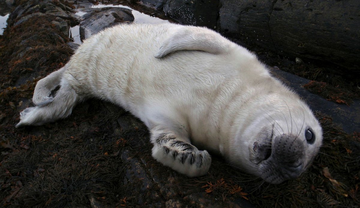 
Ung havert Michael Poltermann