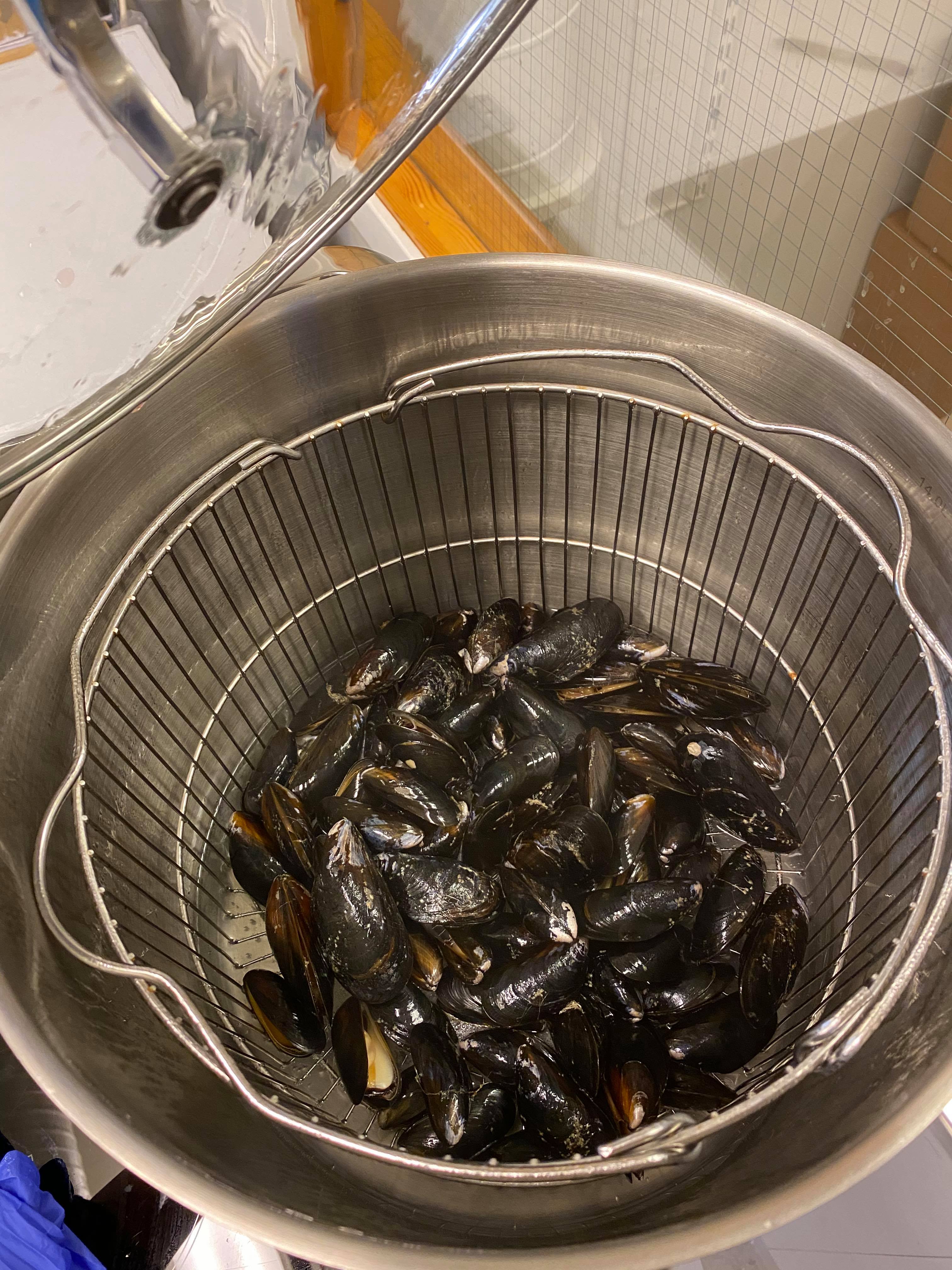 blåskjell i bøtte