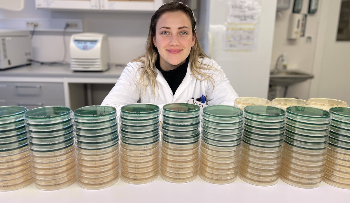 
Vera med Klebsiella pneumomiae-prøver