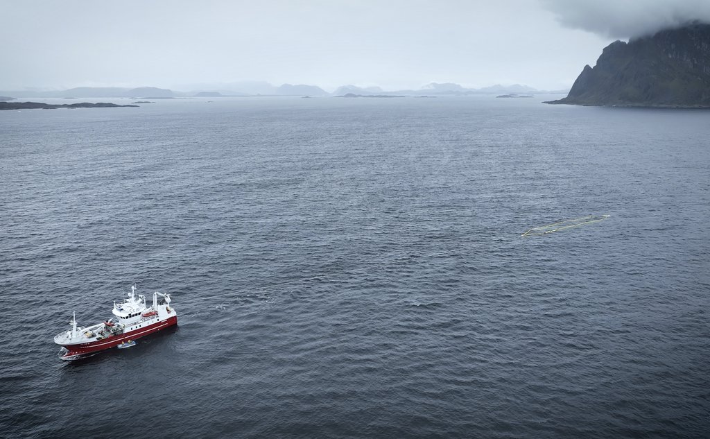 foto av fiskebåt ved kysten