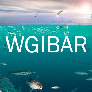 WGIBAR_300x300.jpg