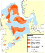 Map showing distribution of whiting in the North Sea
