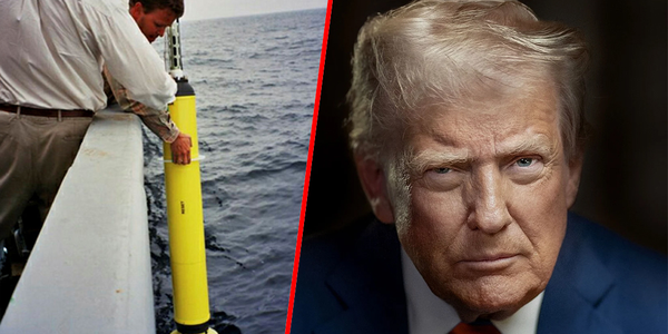 

Kart over verdenshavene som viser hvor de 4000 Argo-bøyene er plassert. 