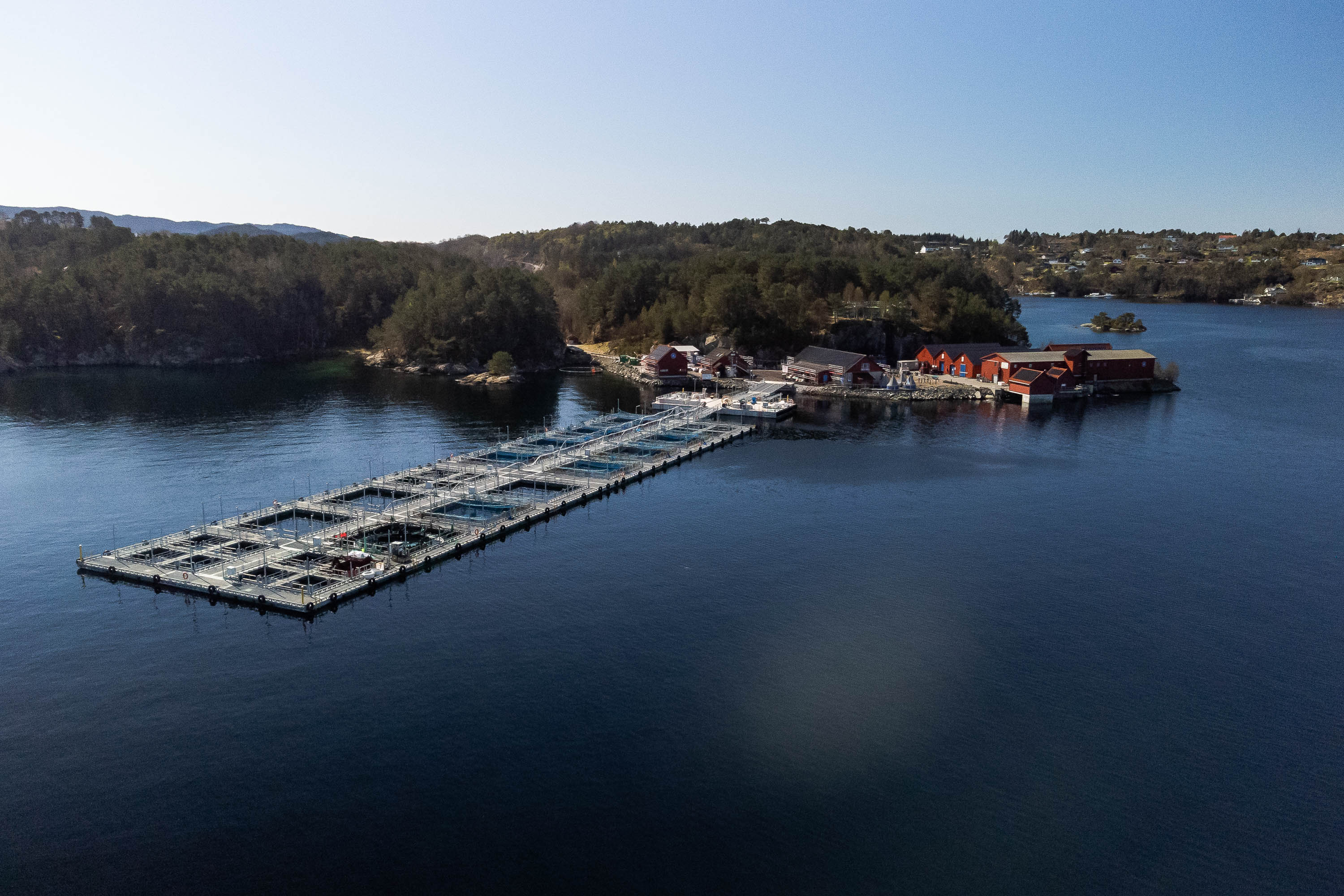 sjøanlegget i Austevoll med merder i front og bygningsmasse i bakgrunnen.