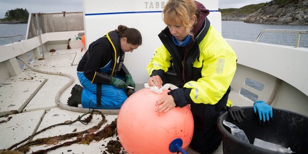 

Kate og Lise reinskar utstyr i båt på fjorden.